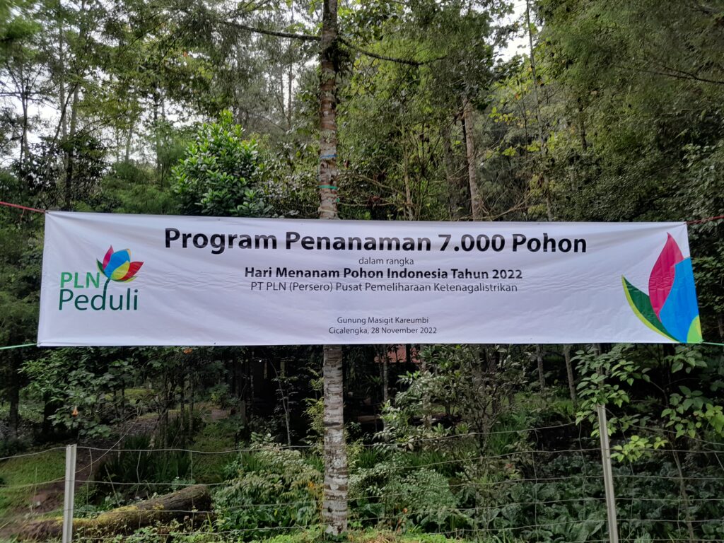Menanaman Pohon - PT.PLN