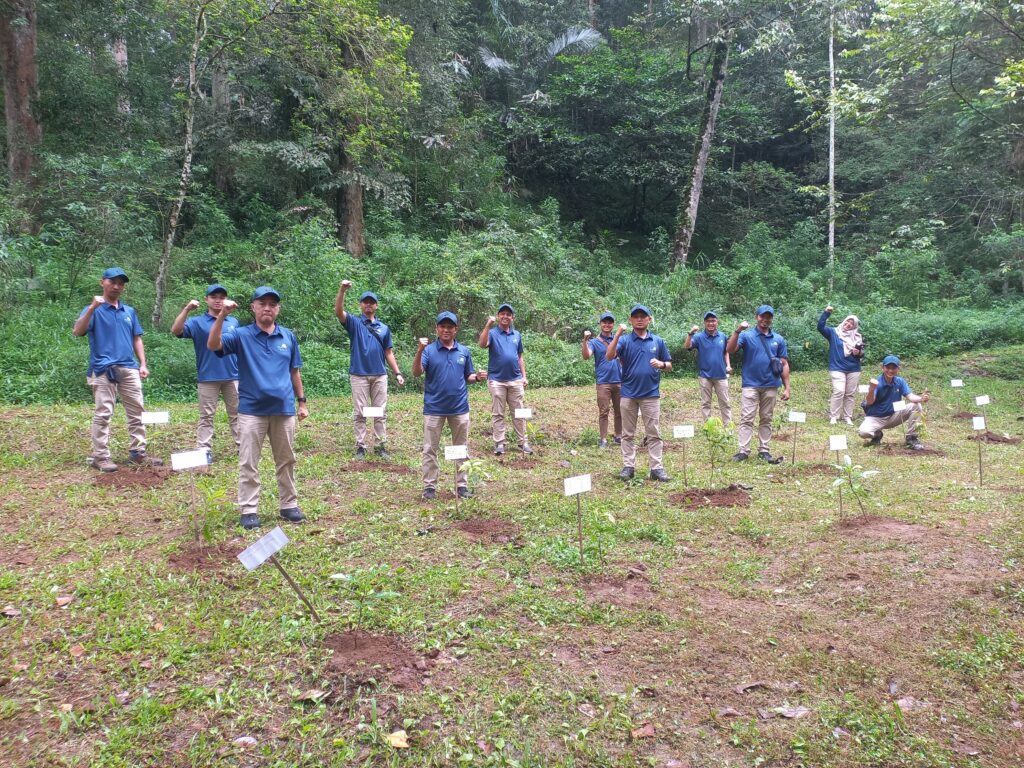 Menanaman Pohon - PT.PLN