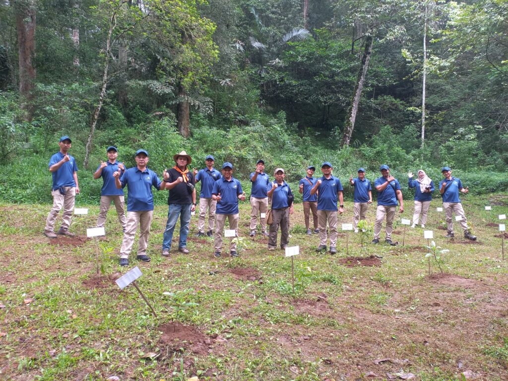Menanaman Pohon - PT.PLN
