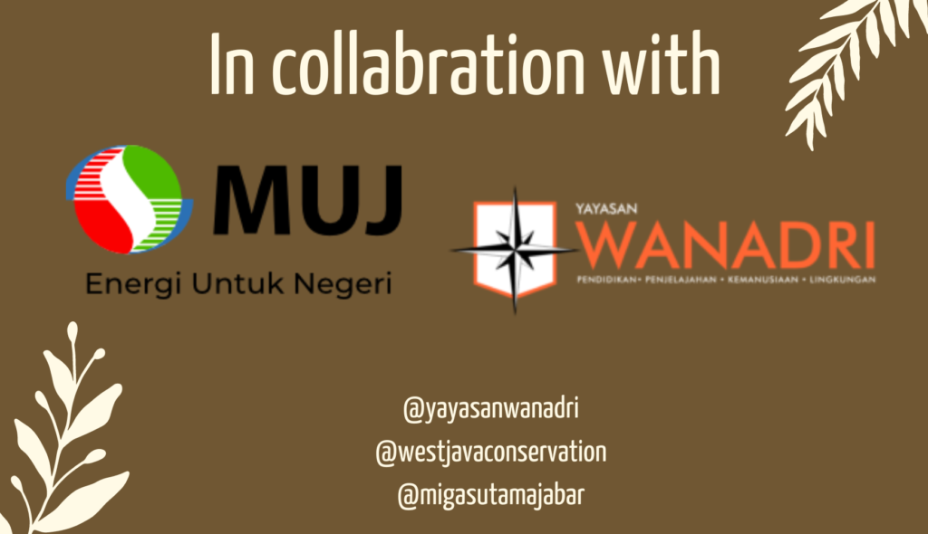 collaboration