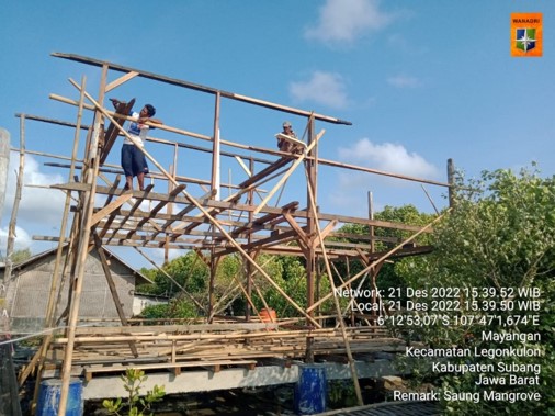 Basecamp Mangrove 5