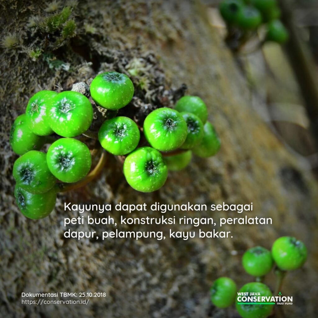 Beunying-03