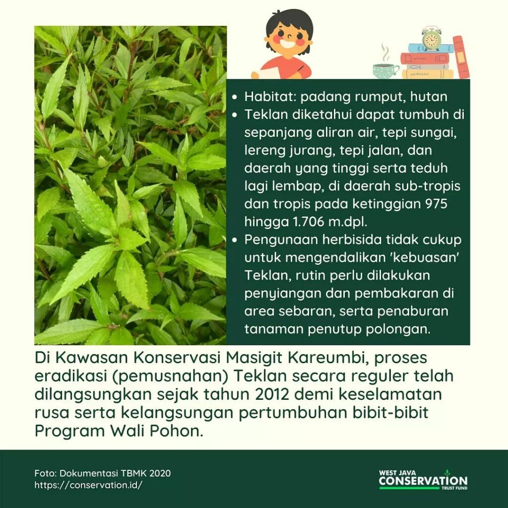 (3) Teklan