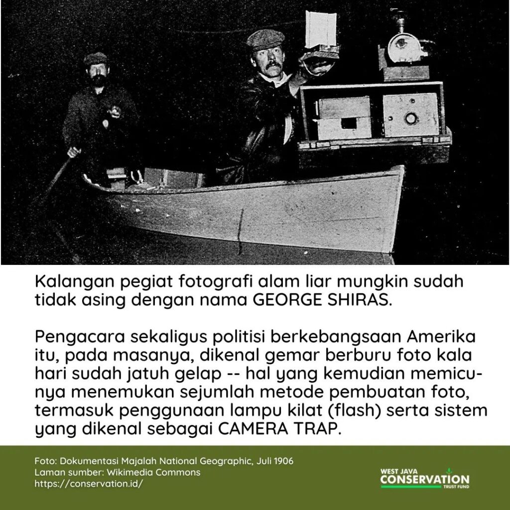 01 Camera Trap