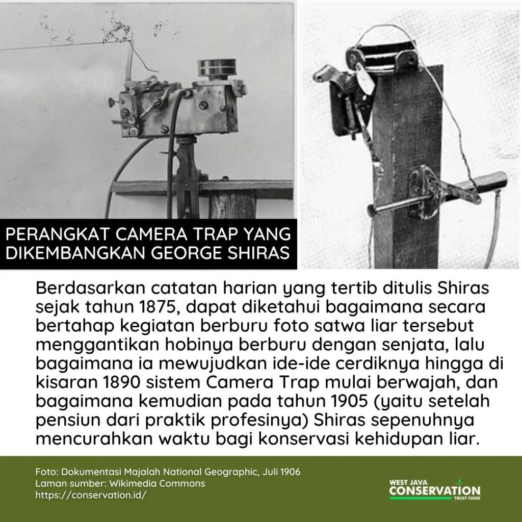 02 Camera Trap