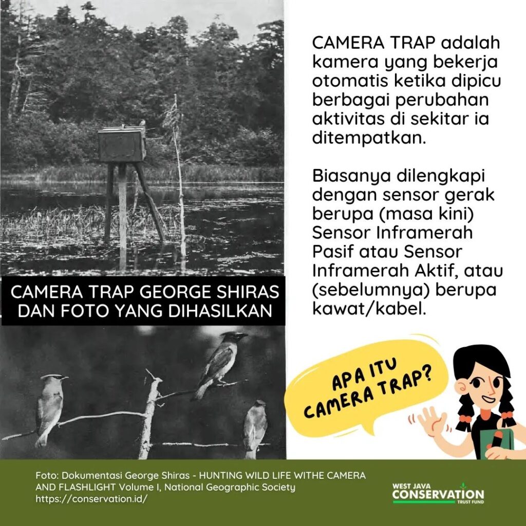 03 Camera Trap
