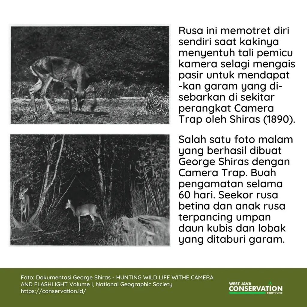 04 Camera Trap