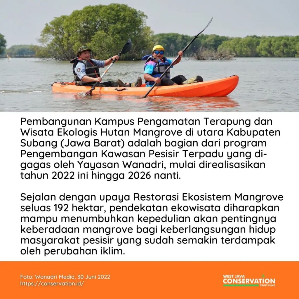 Lebih dekat dengan hutan mangrove