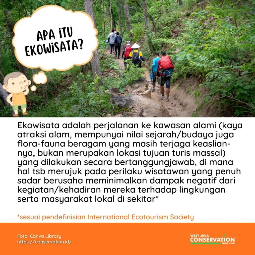 Lebih dekat dengan hutan mangrove