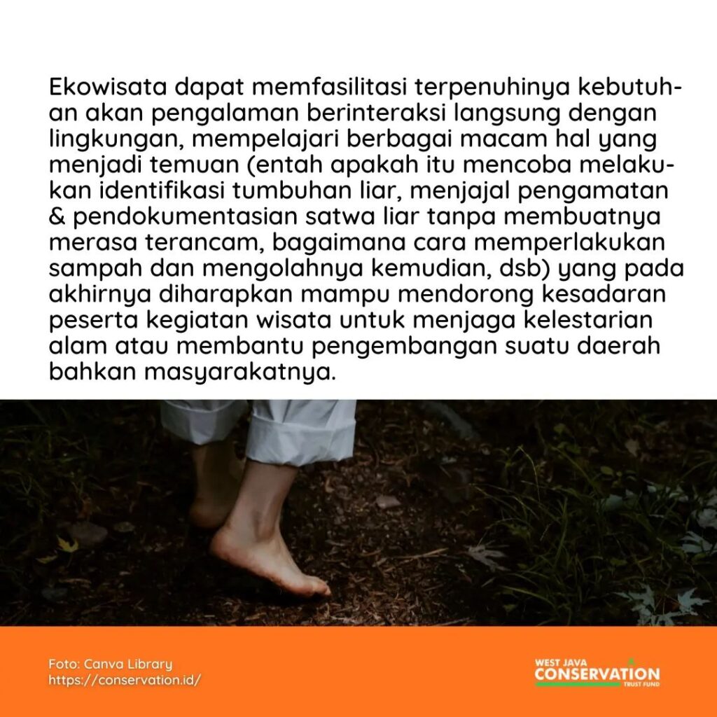 Lebih dekat dengan hutan mangrove