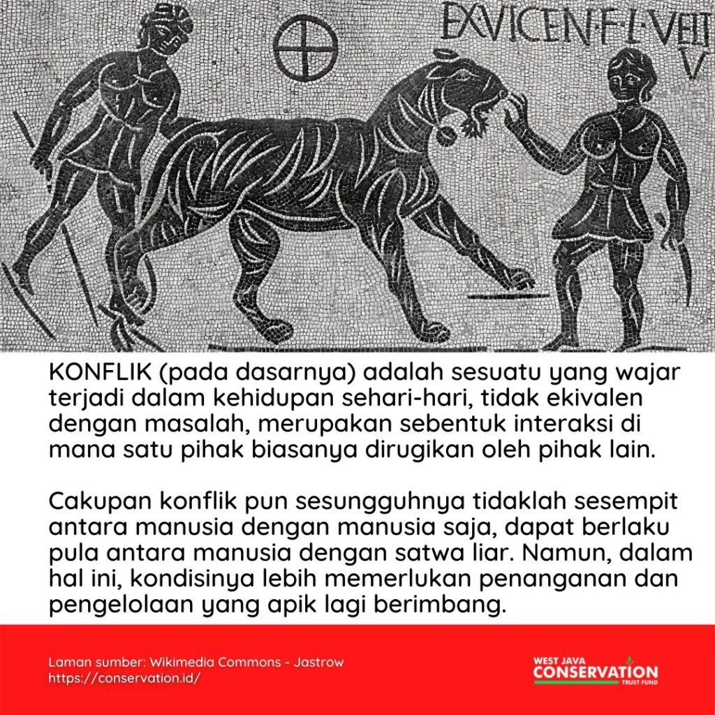 Konflik Manusia dan Satwa Liar