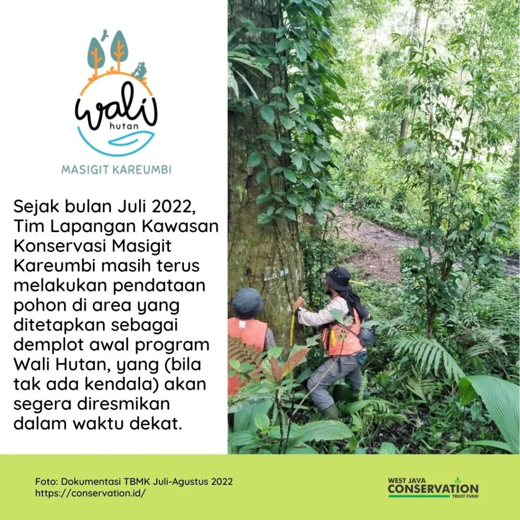 wali hutan