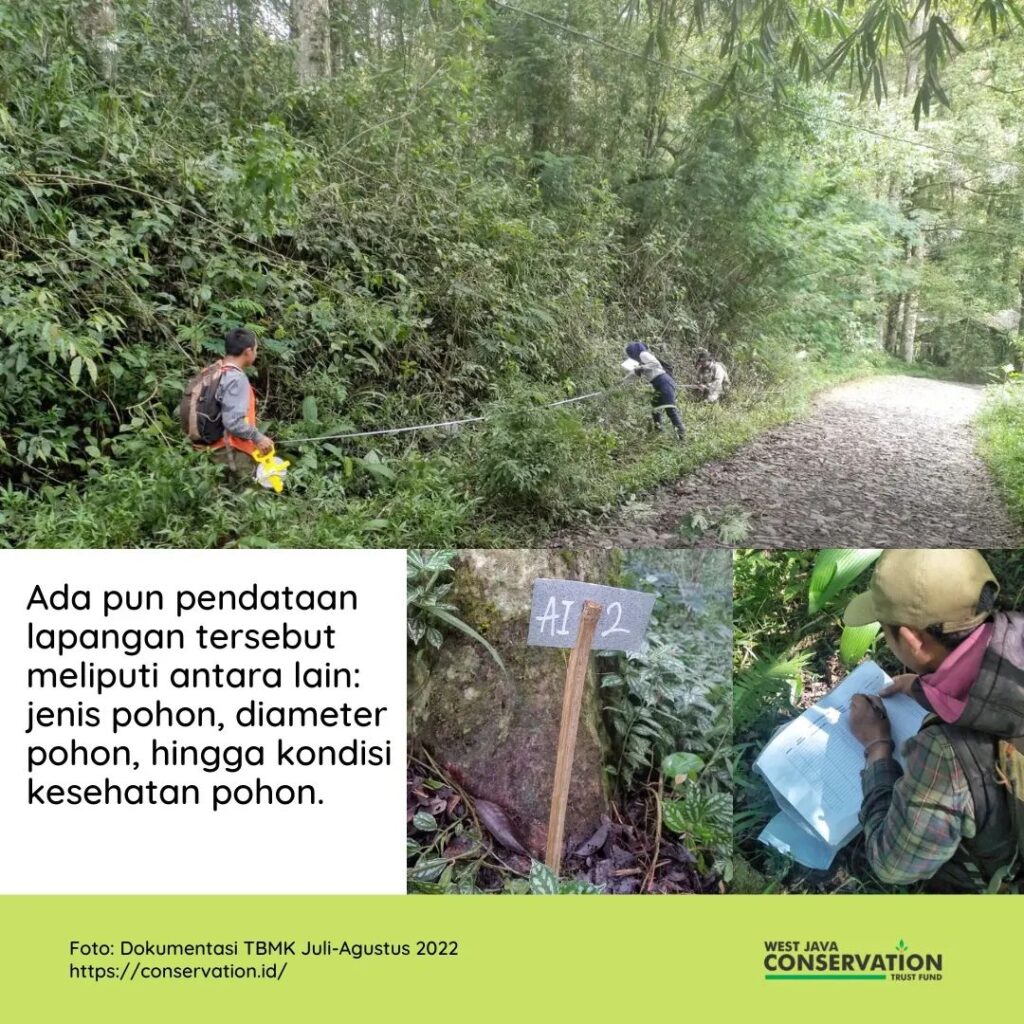 wali hutan