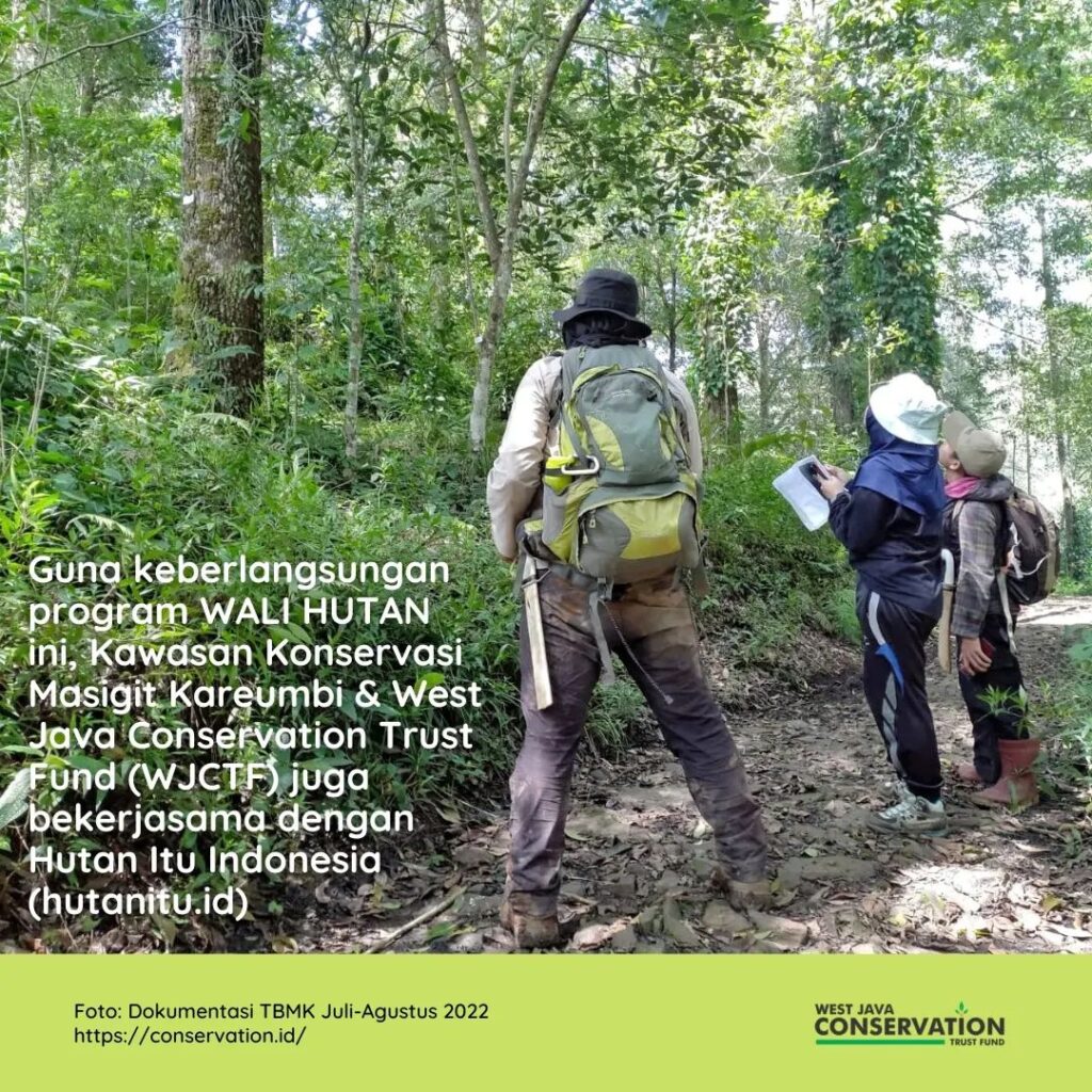 wali hutan