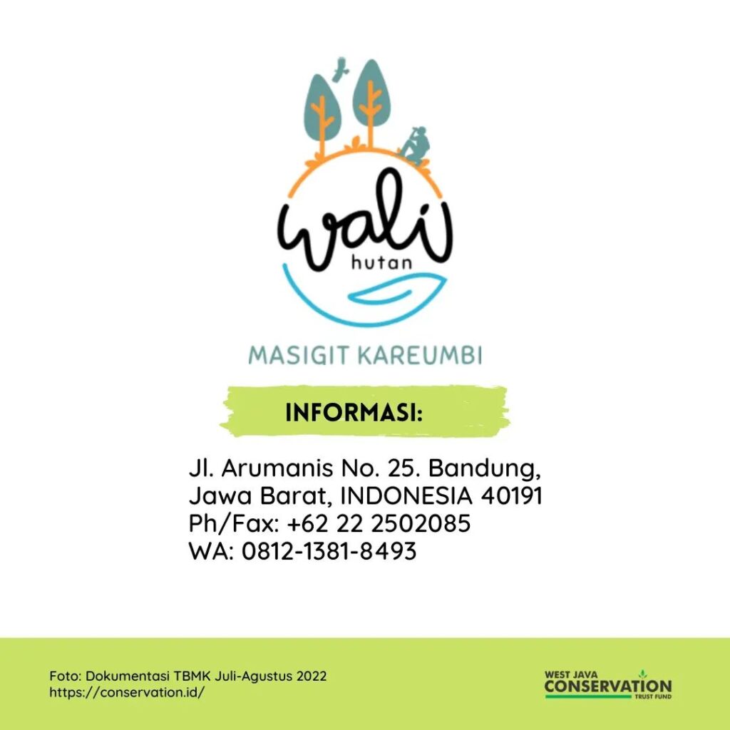 wali hutan