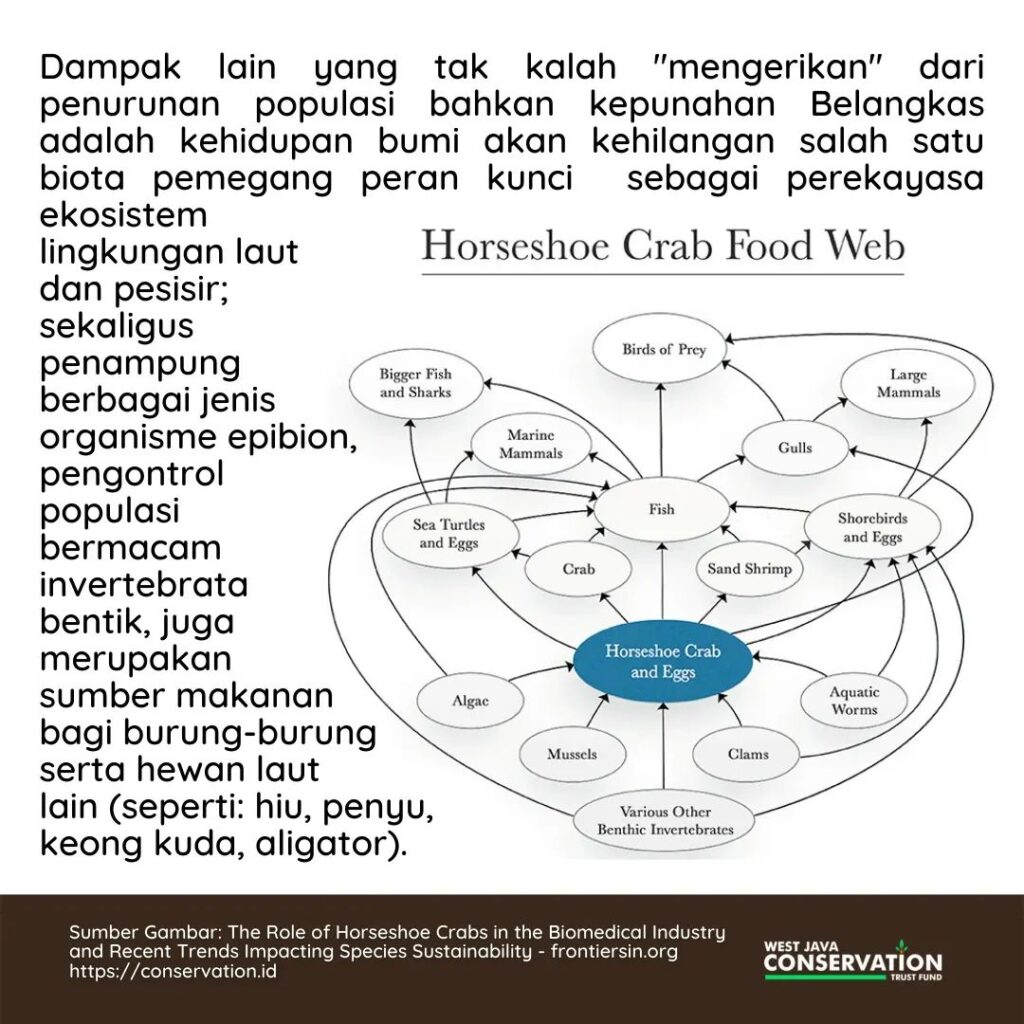 WhatsApp Image 2022-11-22 at 10.34.21 AM (1)