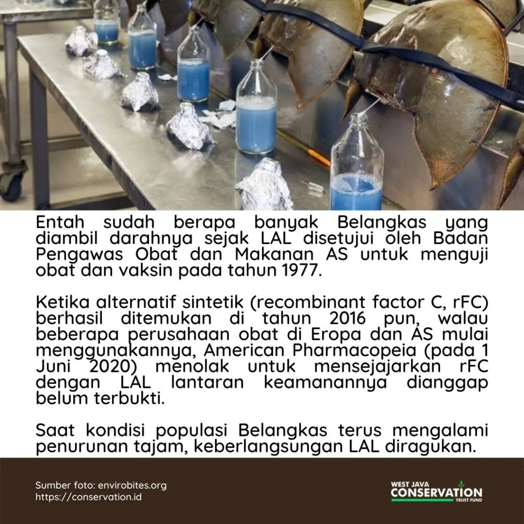WhatsApp Image 2022-11-22 at 10.34.21 AM (2)