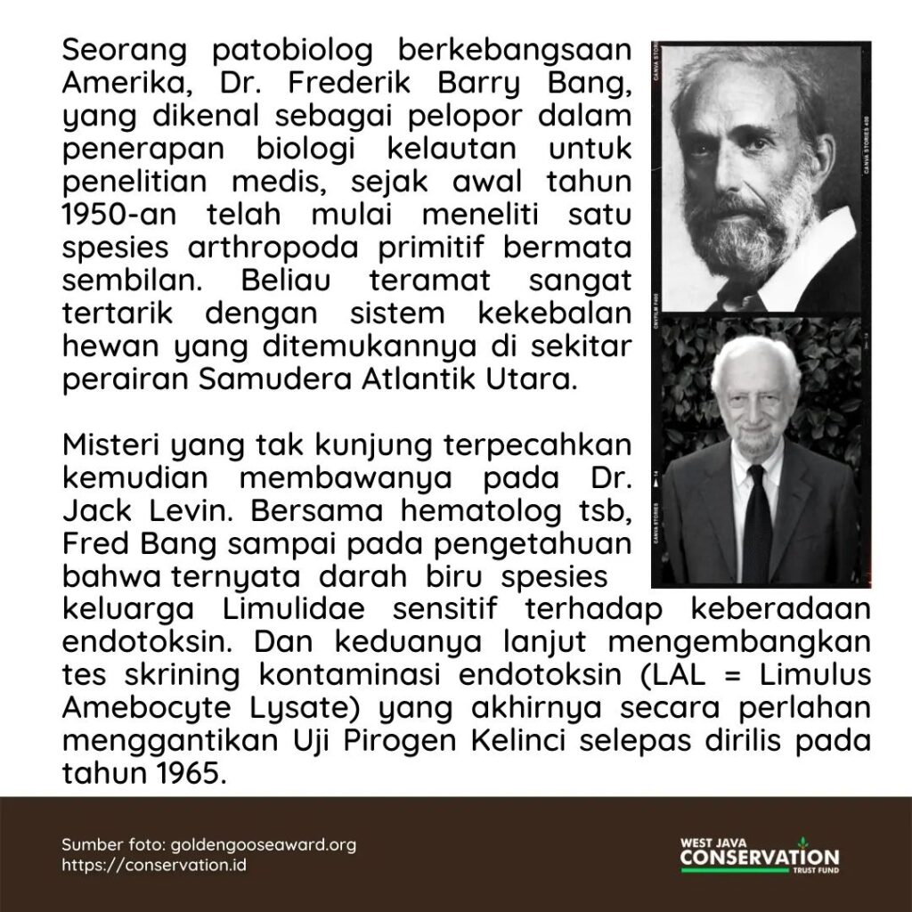 WhatsApp Image 2022-11-22 at 10.34.22 AM