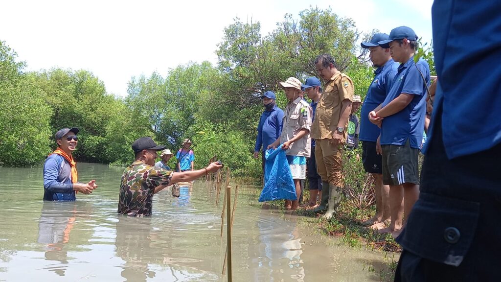 Penanaman Mangrove - PT. PLN