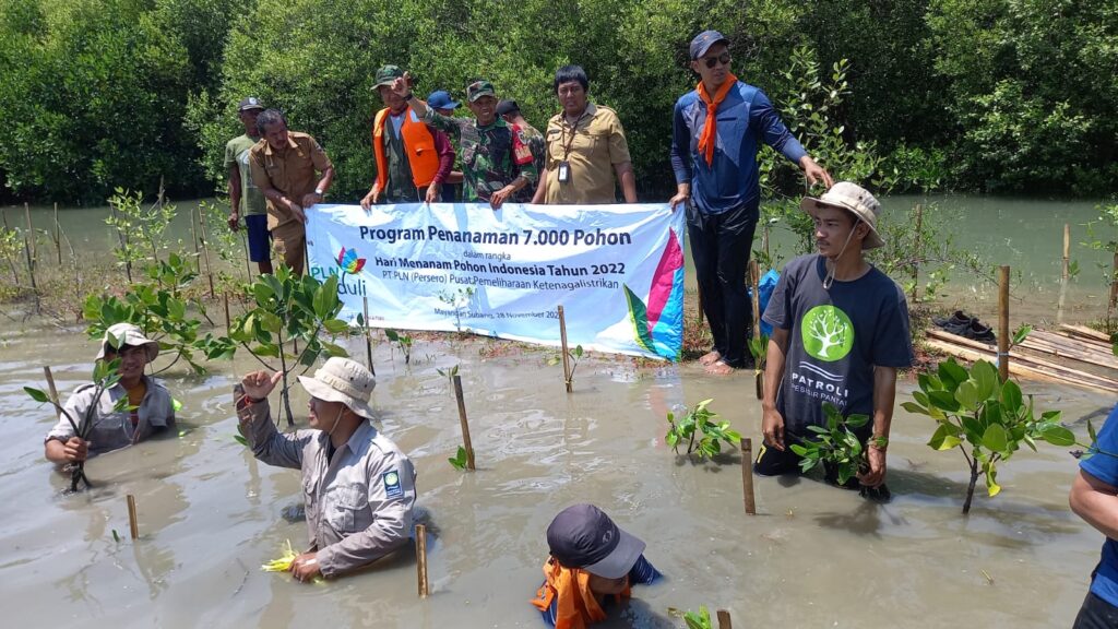 Penanaman Mangrove - PT. PLN