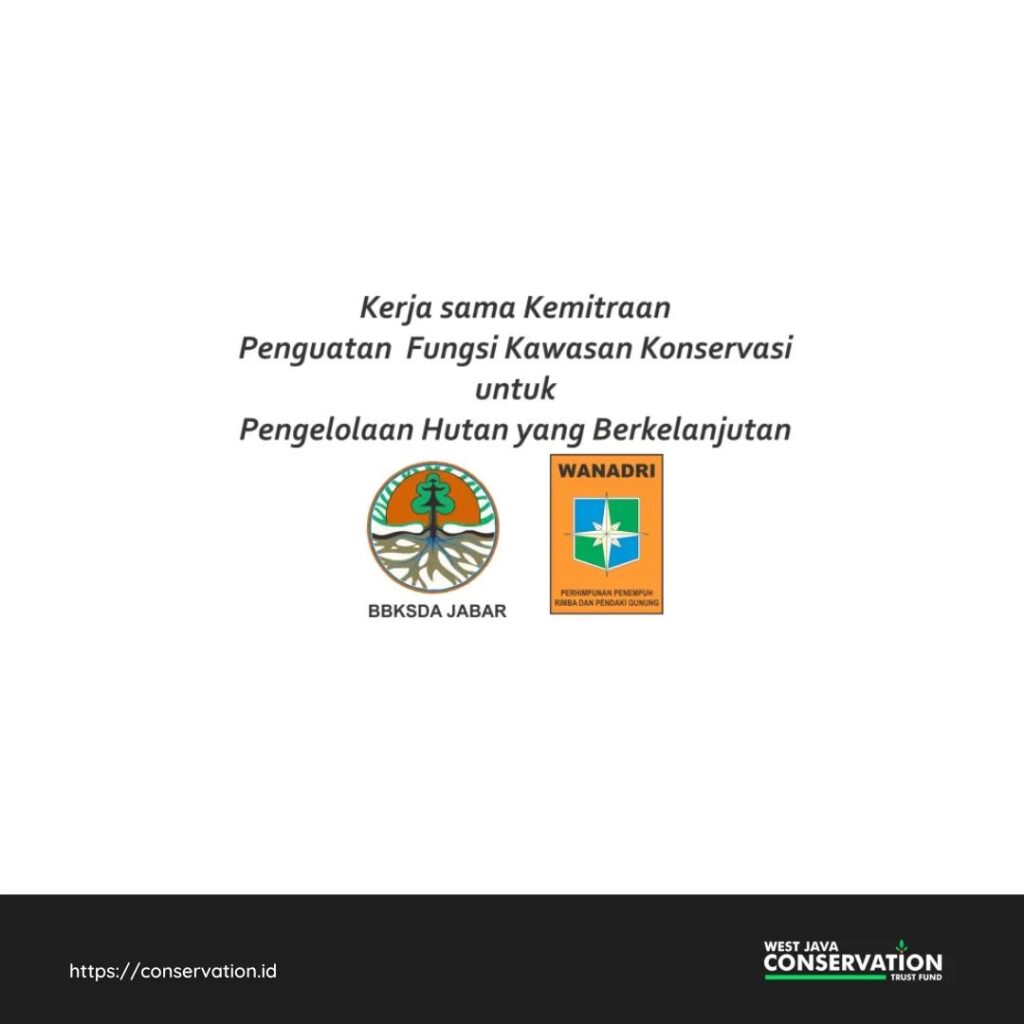 ikan kancra