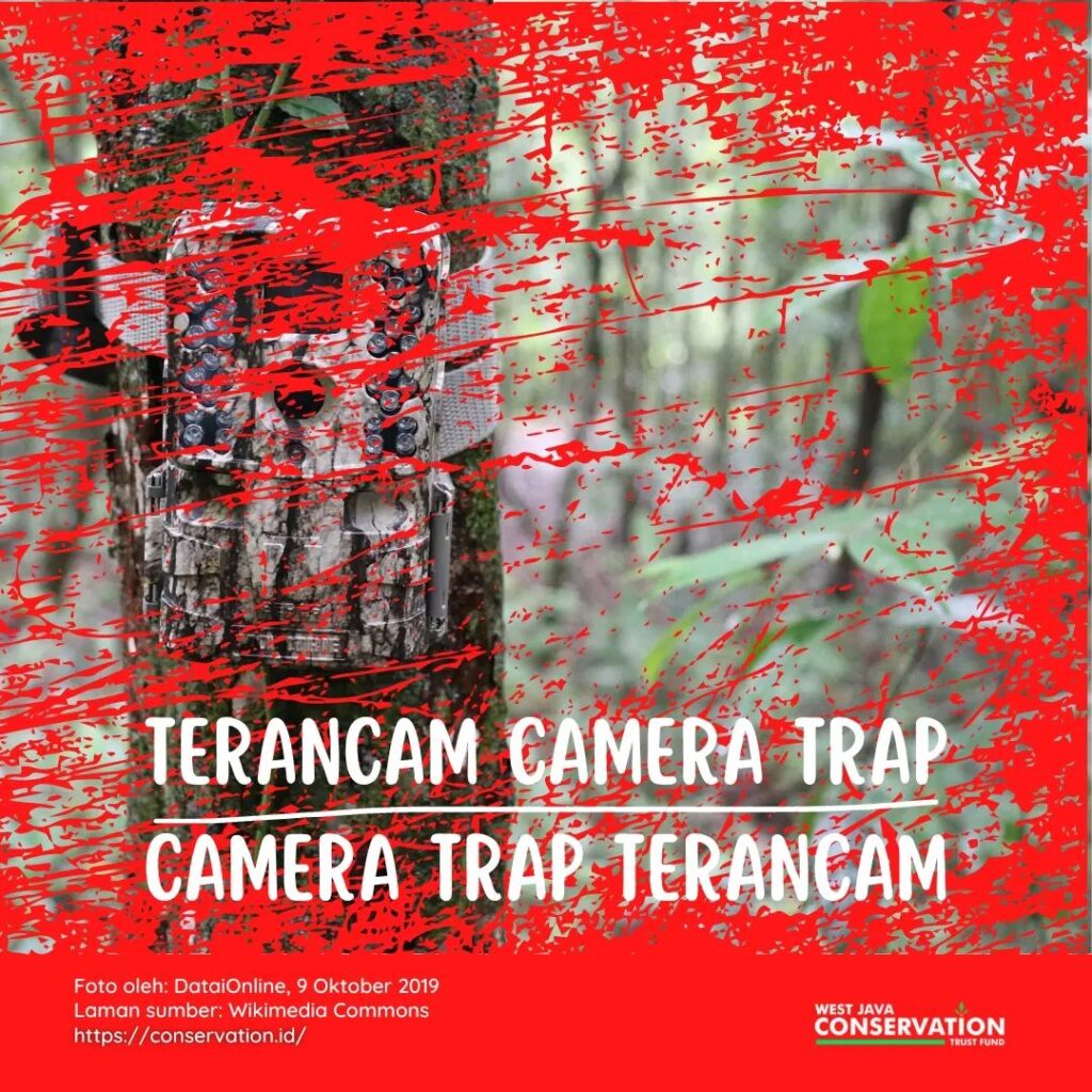 camera trap