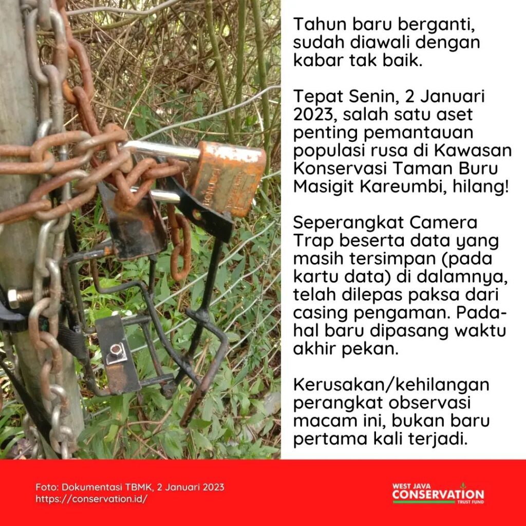 camera trap