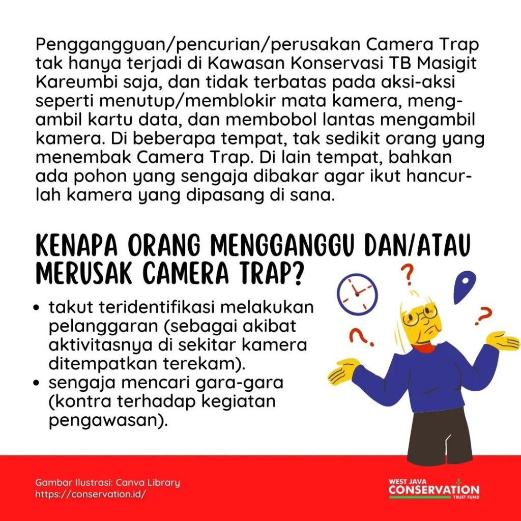 camera trap