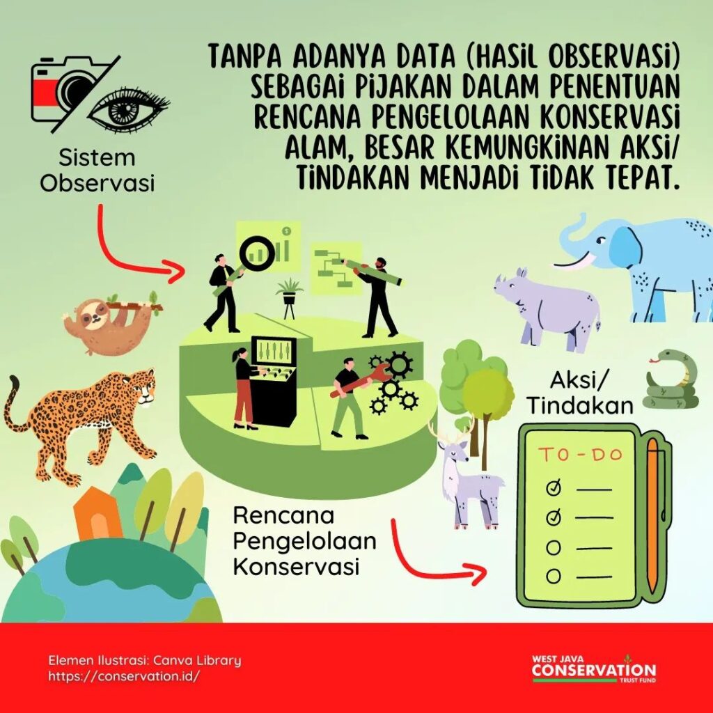 camera trap