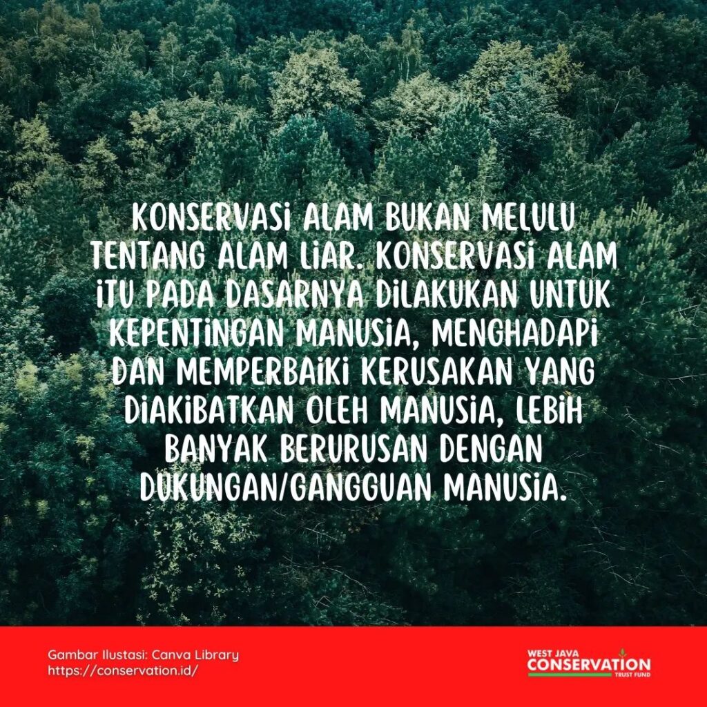 camera trap