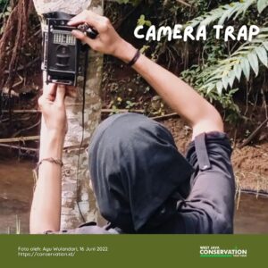 Camera Trap/Kamera Jebak