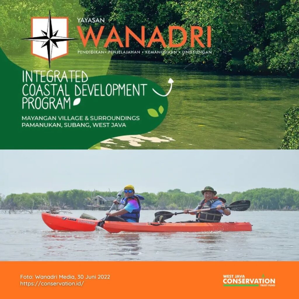Lebih dekat dengan hutan mangrove