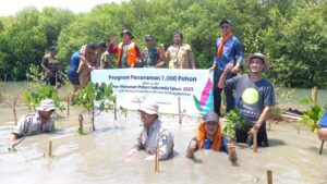 HMPI 2022 : Menanam Mangrove Bersama PT.PLN Pusharlis di Mayangan