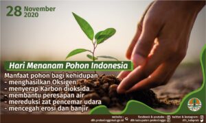 Indonesia Menanam Pohon