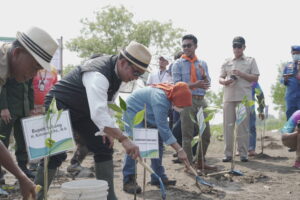 PIAGAM PESISIR DAN PENANAMAN MANGROVE