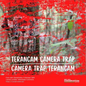TERANCAM CAMERA TRAP – CAMERA TRAP TERANCAM