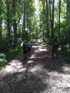 WALI HUTAN MASIGIT KAREUMBI