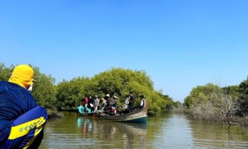 Kabar Mayangan : Pengecekan Kondisi dan Pendataan Tanaman Mangrove