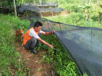Kabar Persemaian Bambu