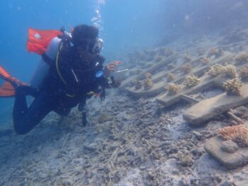 Monitoring Terumbu Karang Wanadri