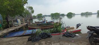 Penanaman 1.143 Mangrove ITB74