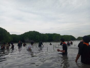 AAPG Unpad SC Menanam Mangrove