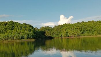 Wali Birip Kali Kao – Boven Digoel, Papua Selatan