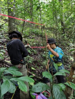 Tim Wali Hutan Tandai Area Hutan Adopsi