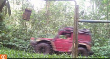 Offroad Ilegal Kembali Masuk Kawasan Konservasi