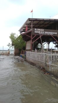 Pasang Tinggi di Mayangan – 170cm