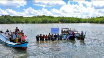 Penanaman Mangrove di Pulau Belitung