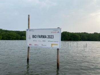 Pengecekan dan Survey Lokasi Tanam