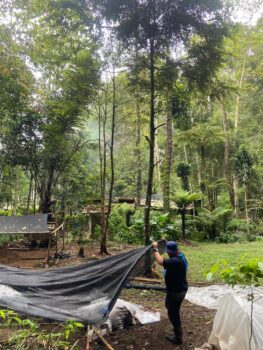 Atap Persemaian Bambu Roboh