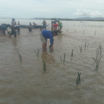 Penanaman Mangrove di Desa Kaki Air – Buru